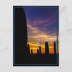 desert sun postcard