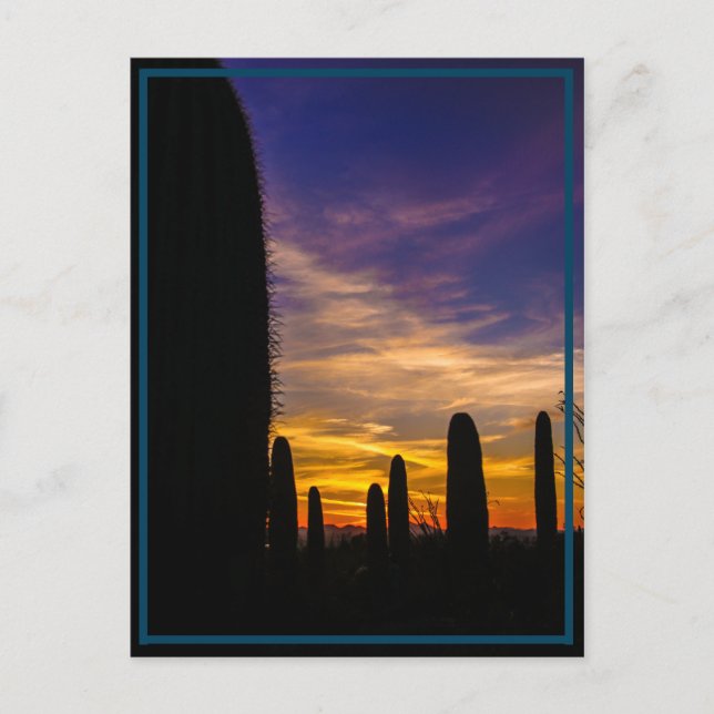 desert sun postcard (Front)