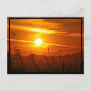 Desert Sun Postcard