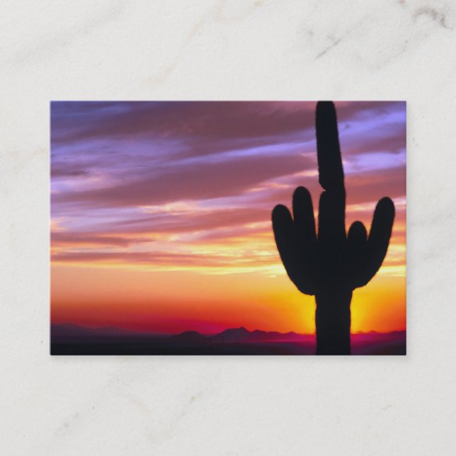 Desert Sunset Cactus Business Card (Front)