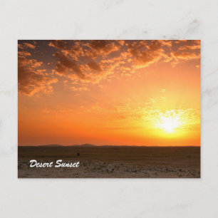 Desert Sunset Postcard