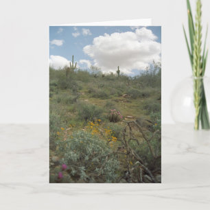 Desert Symphony Greeting Cards or Note Cards