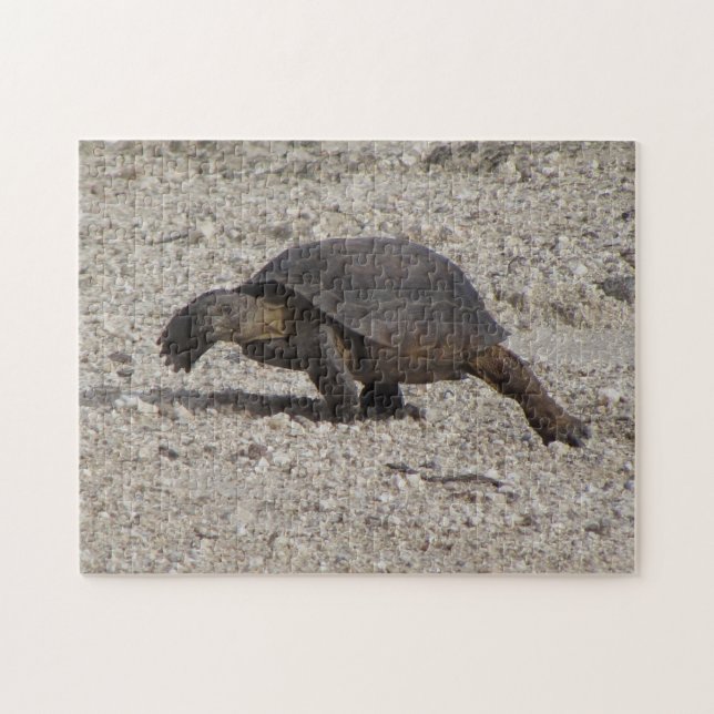 Desert Tortoise Jigsaw Puzzle (Horizontal)