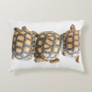 Desert Tortoise / Turtle Pillow