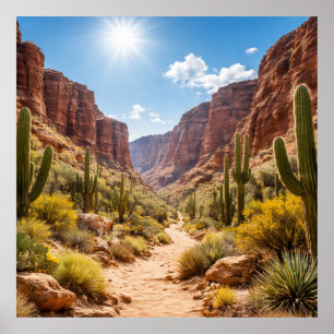 Desert Trail Between Rocky Canyons Poster