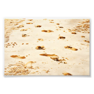 Desert Trail Photo Print