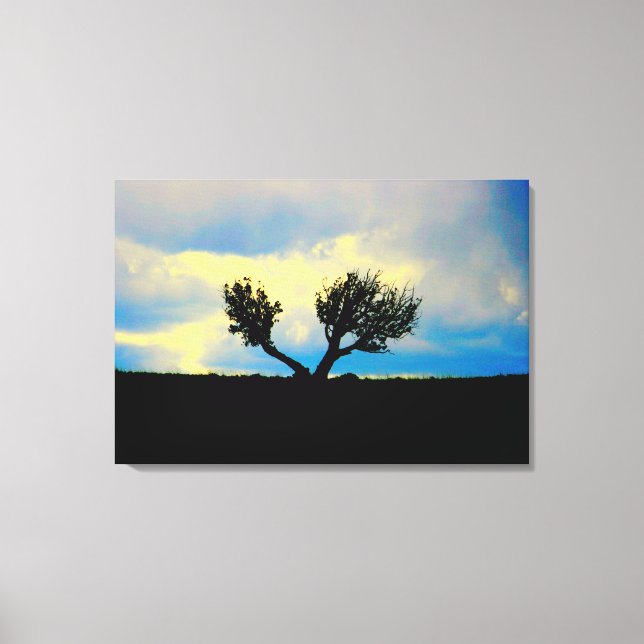 desert trees in arizona wrapped canvas (Front)