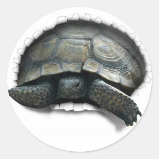 DESERT TURTLE, COMING AT YA CLASSIC ROUND STICKER