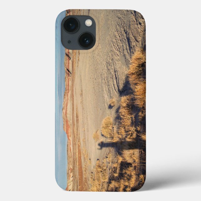 Desert Wave: Petrified Forest National Park Case-Mate iPhone Case (Back)