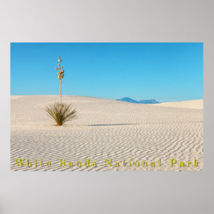 Desert White Sands Landscape and Yucca Poster