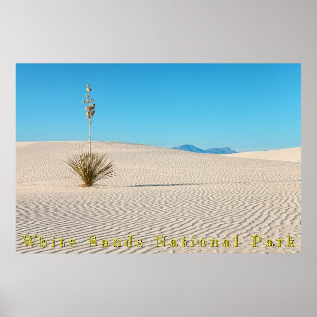 Desert White Sands Landscape and Yucca  Poster (Front)