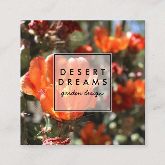 Desert Wildflower Orange Cactus Photo Travel Square Business Card (Front)