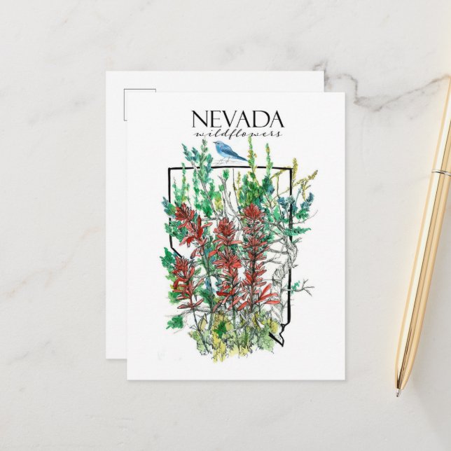 Desert Wildflowers Nevada Indian Paintbrush Postcard (Front/Back In Situ)