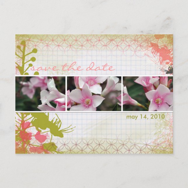 DesertBotanicals Postcard - graph floral (Front)