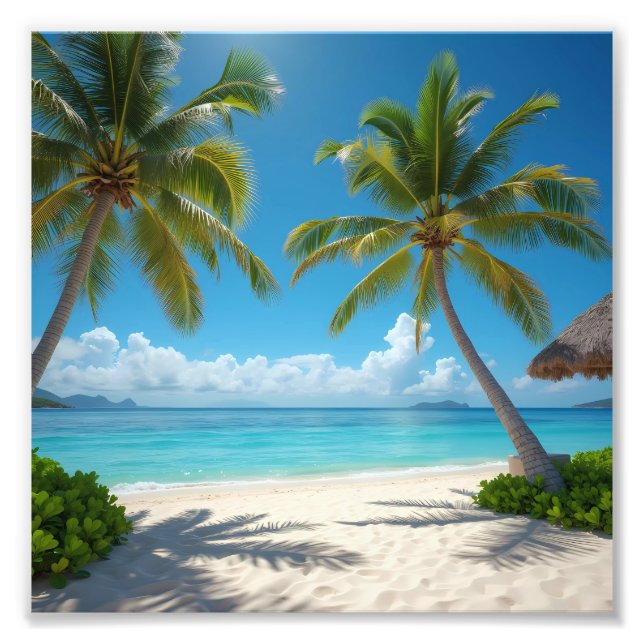 Deserted American beach Photo Print (Front)