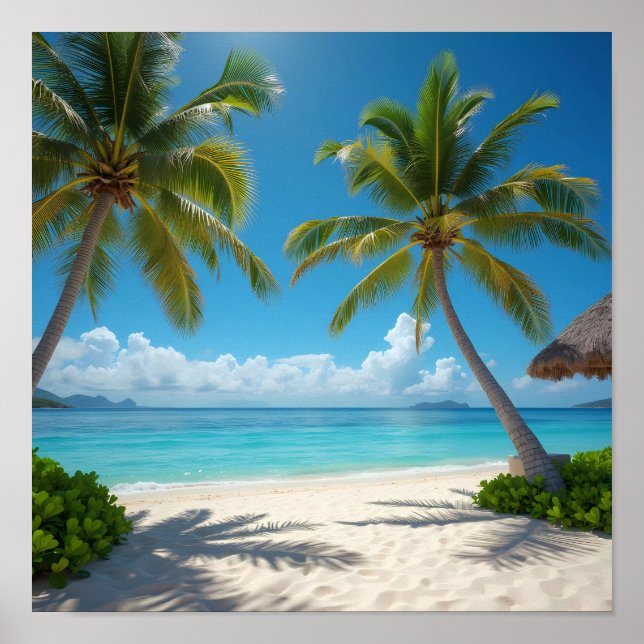 Deserted American beach Poster (Front)