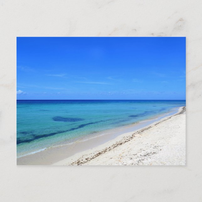 Deserted Cosumel Beach Calm Teal Water White Sand Postcard (Front)