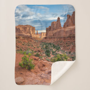 Deserts   Arches National Park, Utah Sherpa Blanket