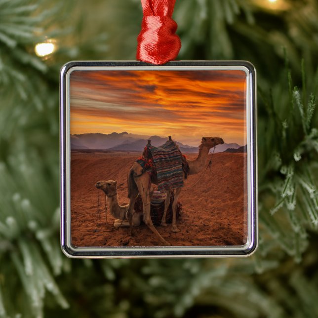 Deserts | Bactrian Camel Egypt Sand Dune Metal Tree Decoration (Tree)
