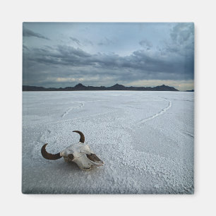 Deserts   Bonneville Salt Flats Utah Magnet