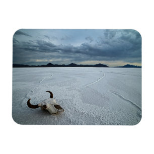 Deserts   Bonneville Salt Flats Utah Magnet