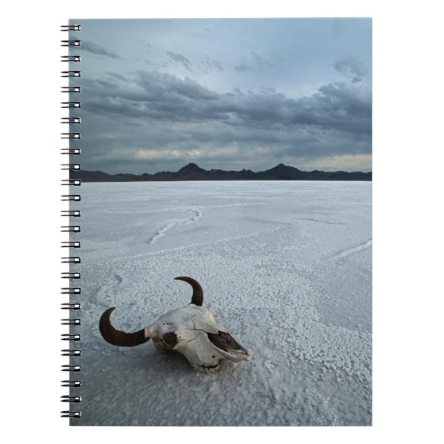 Deserts | Bonneville Salt Flats Utah Notebook (Front)