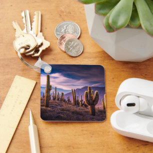 Deserts   Cactus Landscape Argentina Key Ring