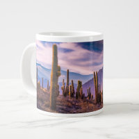 Deserts | Cactus Landscape Argentina