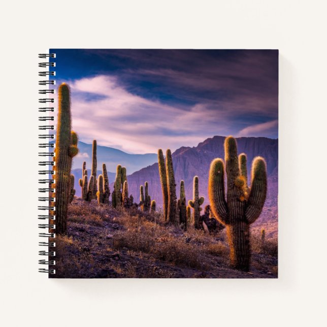 Deserts | Cactus Landscape Argentina Notebook (Front)