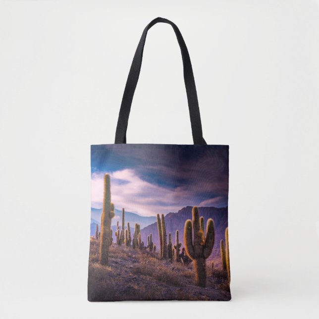 Deserts | Cactus Landscape Argentina Tote Bag (Front)