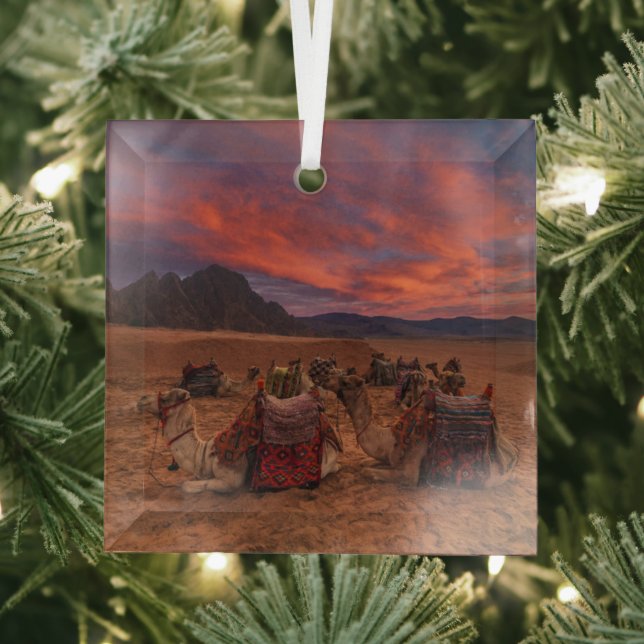 Deserts | Camels Sinai Mountains Egypt Glass Tree Decoration (Insitu)