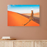 Deserts | Cheetah Savannah Desert