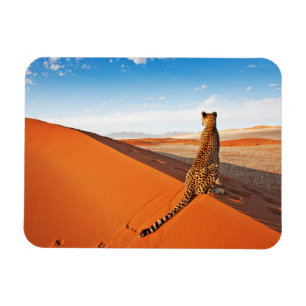 Deserts   Cheetah Savannah Desert Magnet