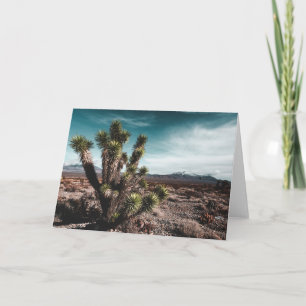 Deserts Cholla Cactus Card