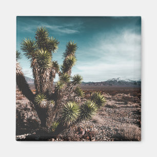 Deserts   Cholla Cactus Magnet