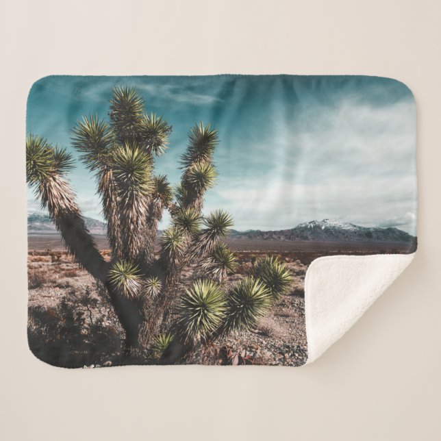 Deserts | Cholla Cactus Sherpa Blanket (Front (Horizontal))