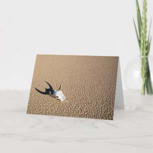 Deserts   Cow Skull on the Desert Ground Card