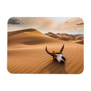 Deserts Cow Skull Rippled Sand Dunes Magnet