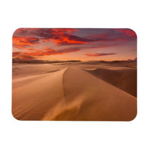 Deserts Desert United Arab Emirates Magnet