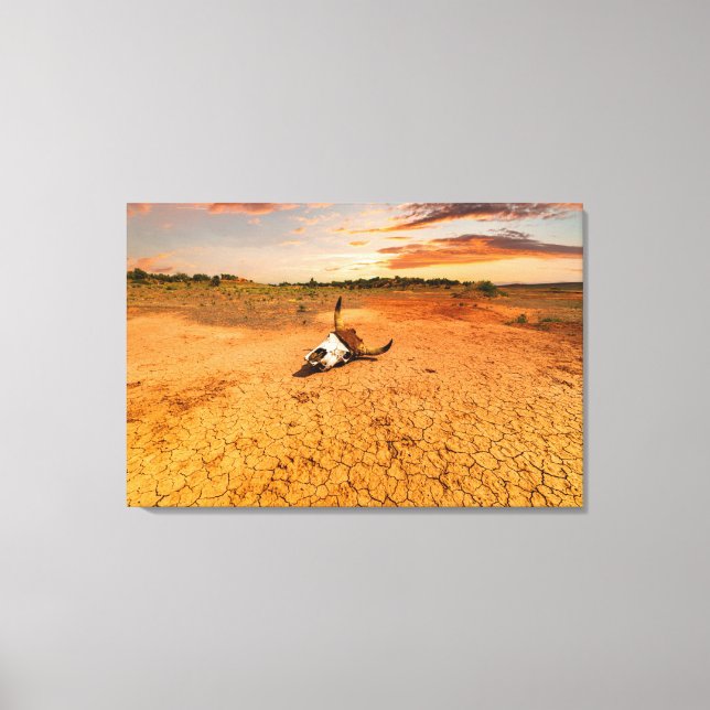 Deserts | Desert with Cow Skull Canvas Print (Front)
