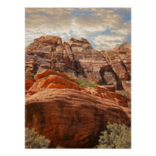 Deserts in the United States Desert Landscape phot Poster