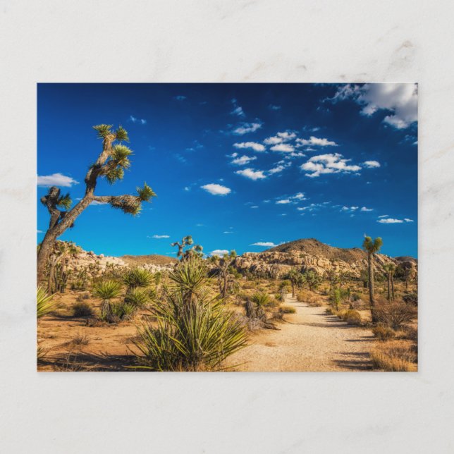 Deserts | Joshua Tree National Park Postcard (Front)