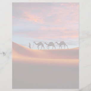 Deserts   Man & Camels in the Sand Dunes