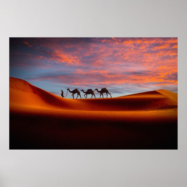 Deserts | Man & Camels in the Sand Dunes Poster (Front)