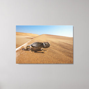 Deserts   Namaqua Chameleon in Desert Canvas Print