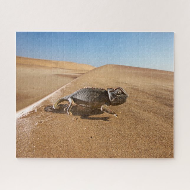 Deserts | Namaqua Chameleon in Desert Jigsaw Puzzle (Horizontal)