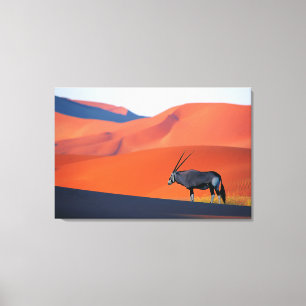 Deserts   Namib Desert Oryx Canvas Print
