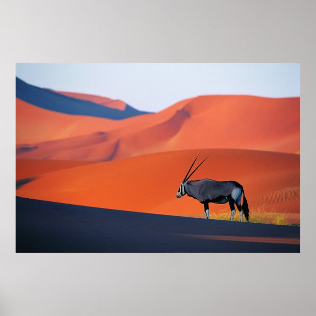 Deserts | Namib Desert Oryx Poster (Front)