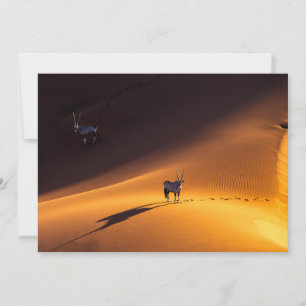 Deserts   Namib Naukluft National Park Kenya Thank You Card