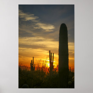 Deserts nights poster